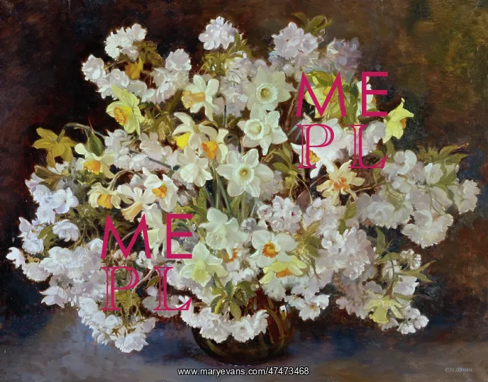: Daffodils, Narcissi & white Cherry Blossom : Daffodils, Narcissi & white Cherry Blossom