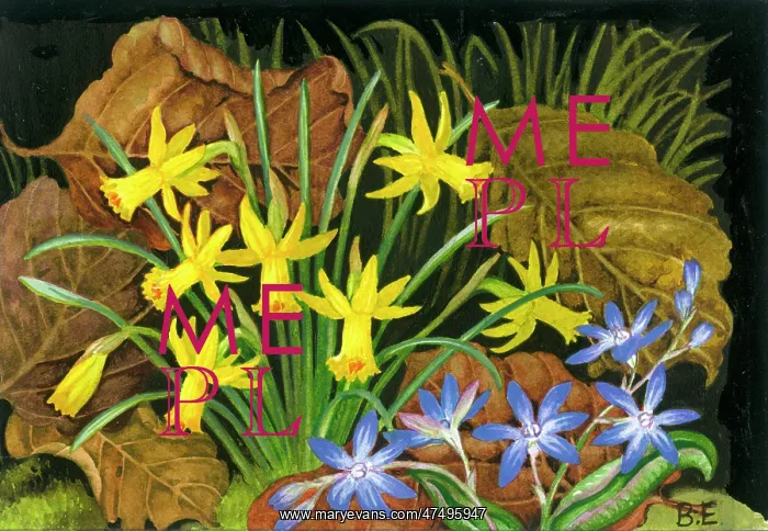  : Daffodils and Periwinkle