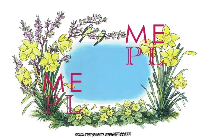 : Daffodils, primroses, daphne, and blue tits : Daffodils, primroses, daphne, and blue tits