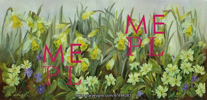  : Daffodils, primroses and periwinkles
