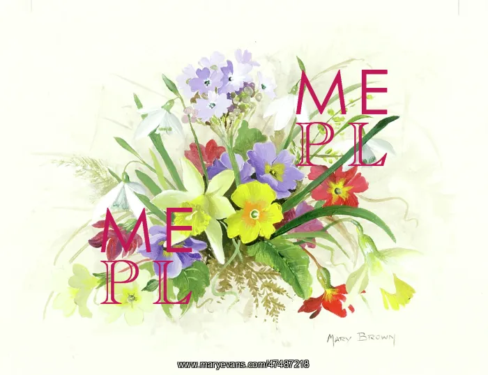  : Daffodils, Primulas, Snowdrops etc