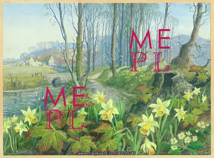 : Daffodils with river, bridge and trees : Daffodils with river, bridge and trees