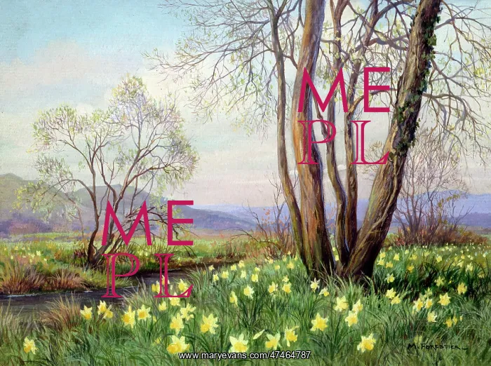 : Daffodils by a river with hills in the distance : Daffodils by a river with hills in the distance