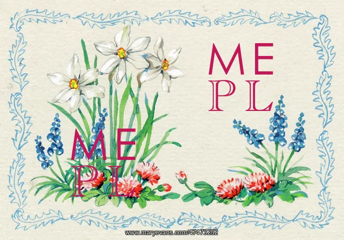  : Daffodils with squills and daisies