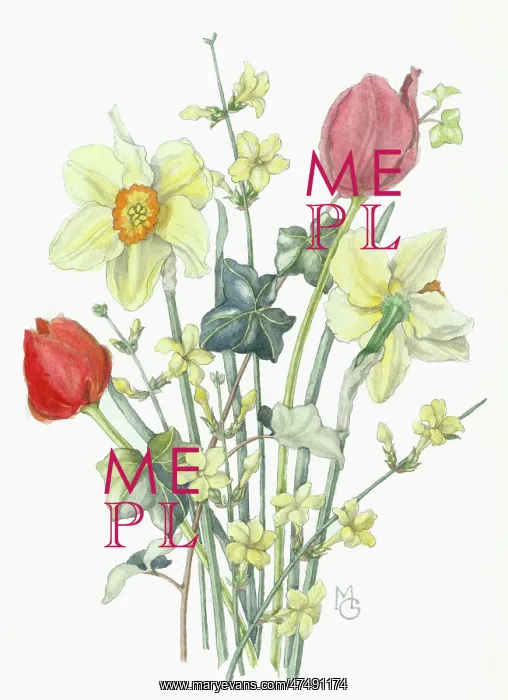  : Daffodils, Tulips and Winter Jasmine
