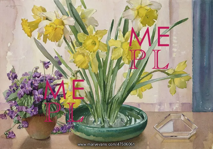 : Daffodils and Violets : Daffodils and Violets