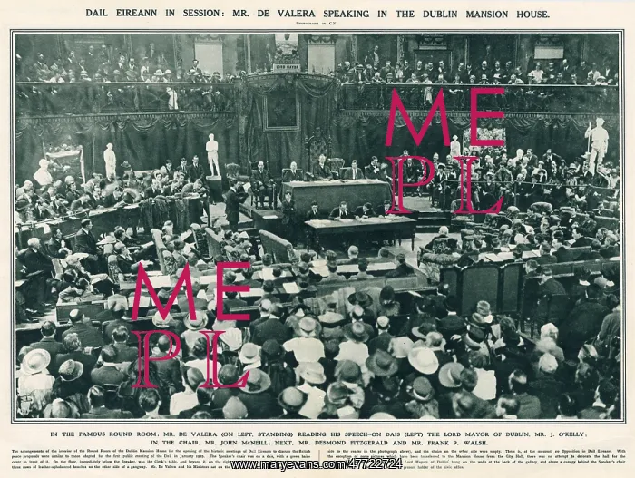 : Dail Eirann in session : Dail Eirann in session