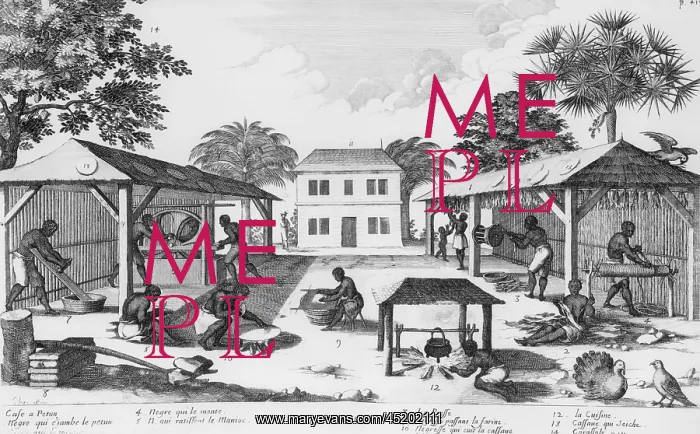 : Daily life for enslaved Africans in the ? : Daily life for enslaved Africans in the ?