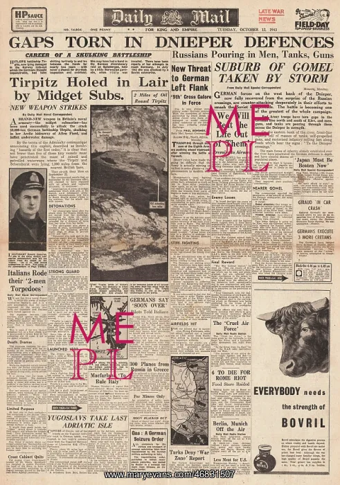 : Daily Mail front page Red Army enter Gomel : Daily Mail front page Red Army enter Gomel