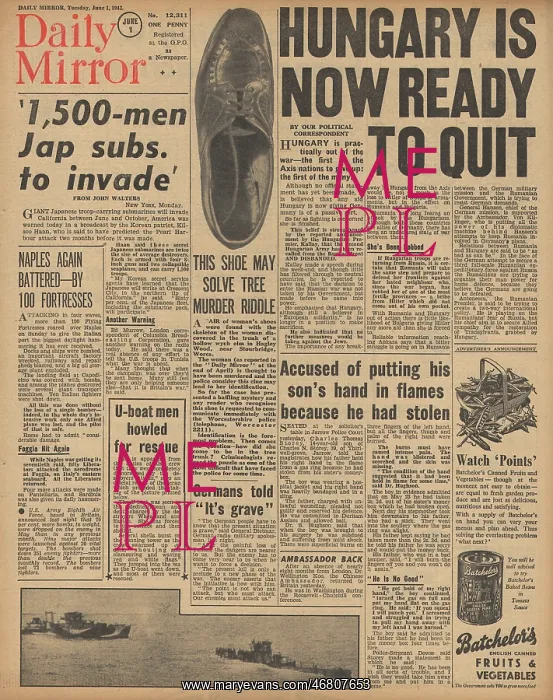 : Daily Mirror front page Hungary ready to quit : Daily Mirror front page Hungary ready to quit