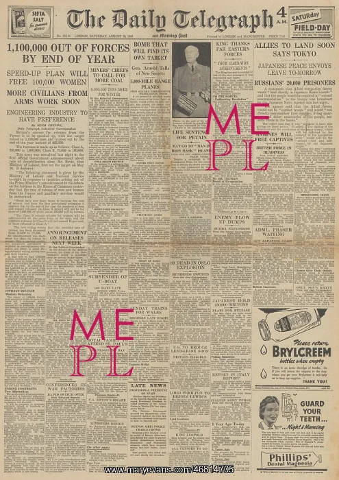 : The Daily Telegraph front page Demobilisation programme : The Daily Telegraph front page Demobilisation programme
