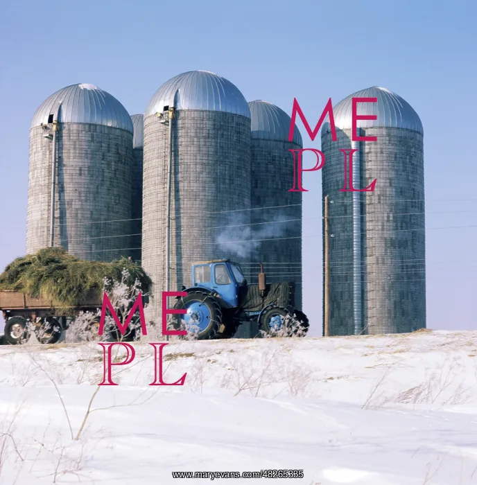 : Dairy factory, 1980 : Dairy factory, 1980