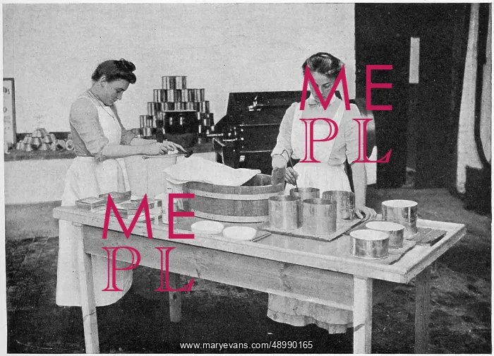 : Dairy Farm - making cream cheese 1903 : Dairy Farm - making cream cheese 1903