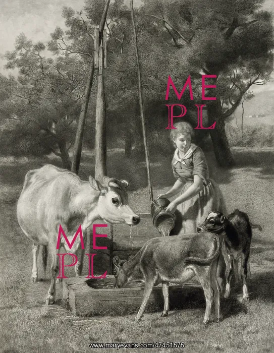  : The dairymaid