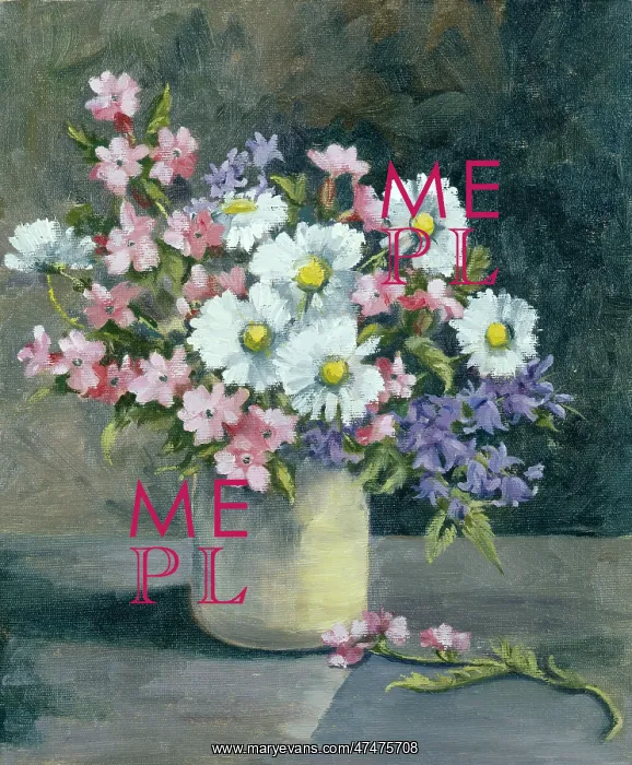  : Daisies, bluebells, red campion etc