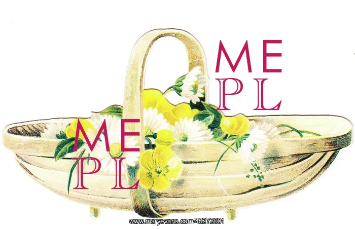  : Daisies and buttercups in a basket on a cutout card