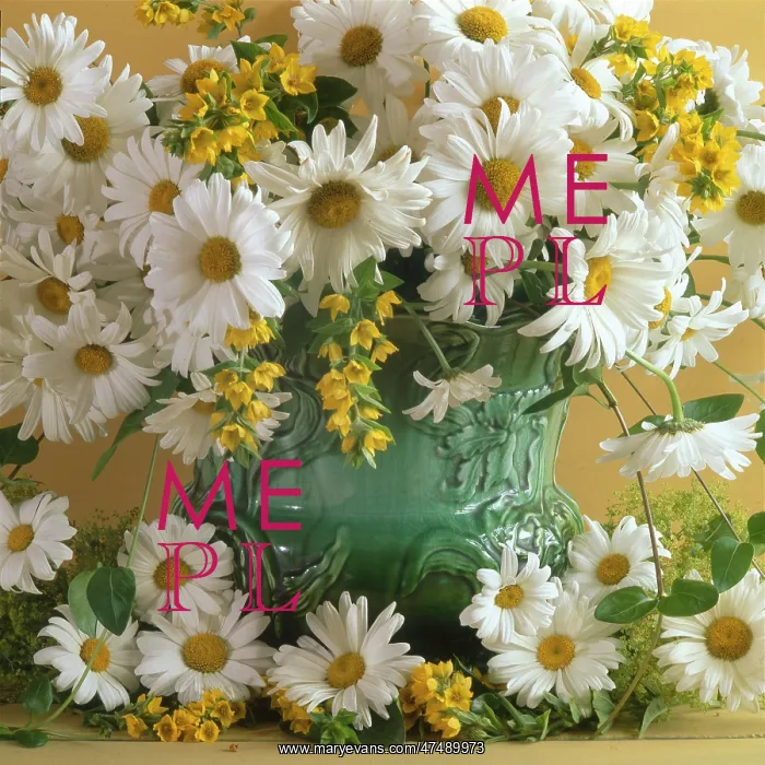  : Daisies ' in a green vase