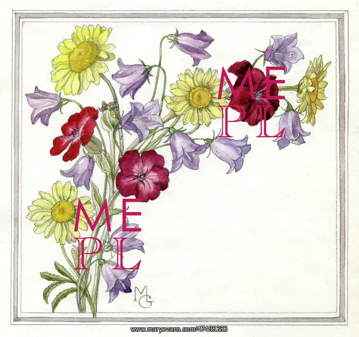  : Daisies, Lychnis and harebells