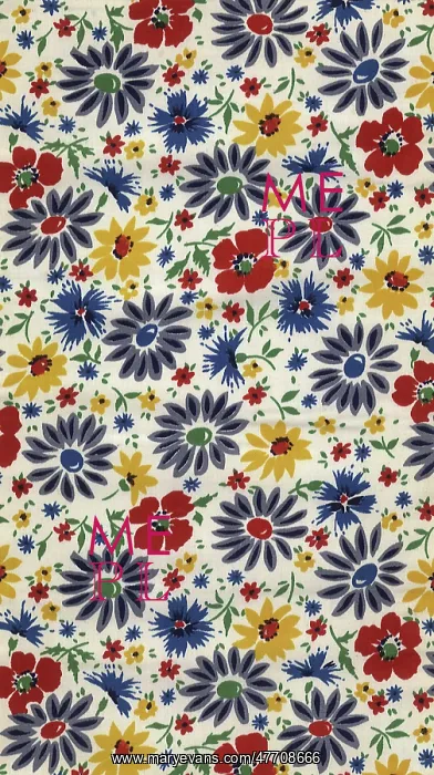: Daisies and Mums : Daisies and Mums