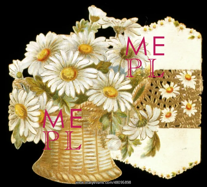  : Daisies in a wicker basket