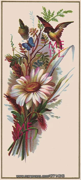 : Daisy, Bird and Butterfly