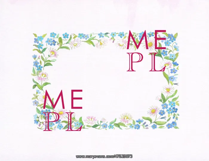 : Daisy and Forget-me-not Border : Daisy and Forget-me-not Border
