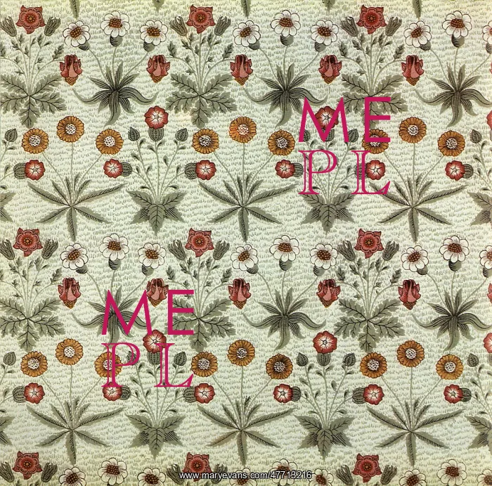  : Daisy Pattern