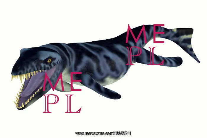 : Dakosaurus aquatic reptile, side view on white background : Dakosaurus aquatic reptile, side view on white background