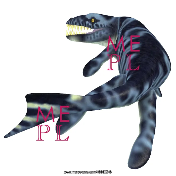 : Dakosaurus marine reptile, white background : Dakosaurus marine reptile, white background