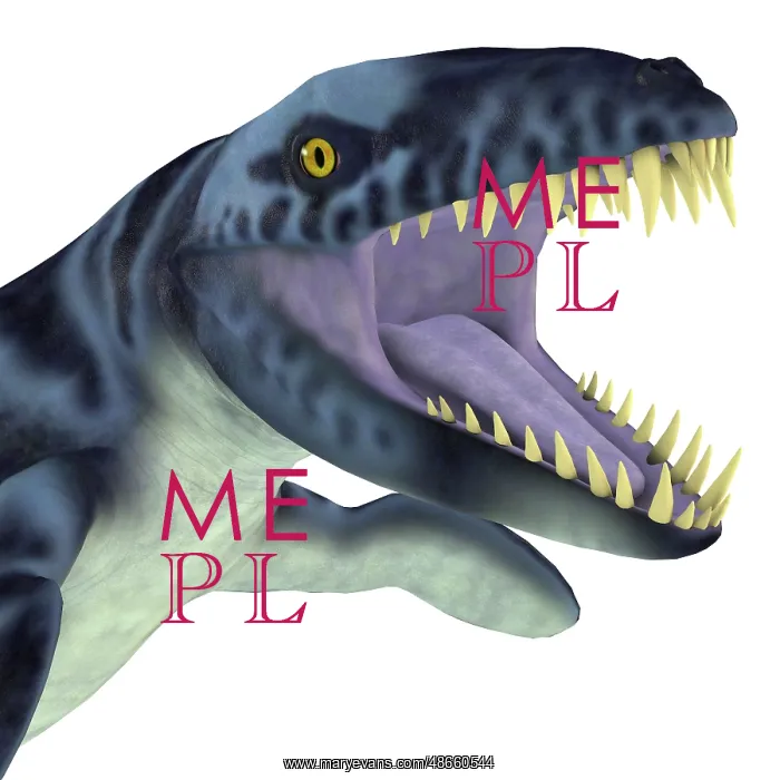 : Dakosaurus reptile head : Dakosaurus reptile head