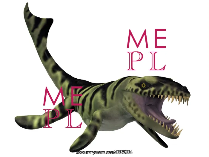 : Dakosaurus, white background : Dakosaurus, white background