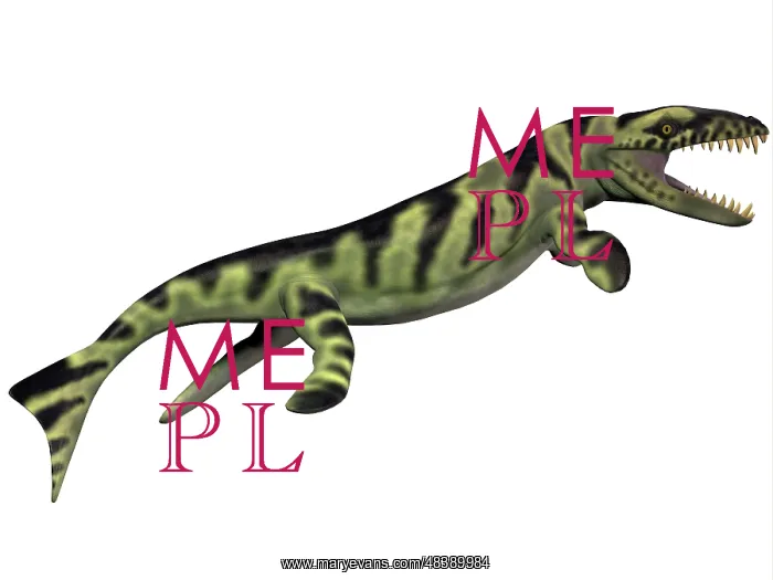 : Dakosaurus, white background : Dakosaurus, white background