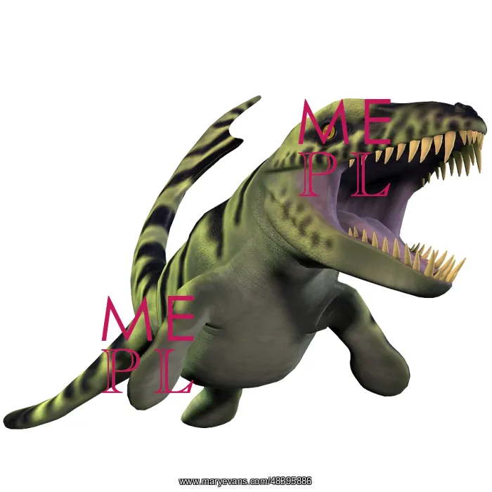 : Dakosaurus, white background : Dakosaurus, white background