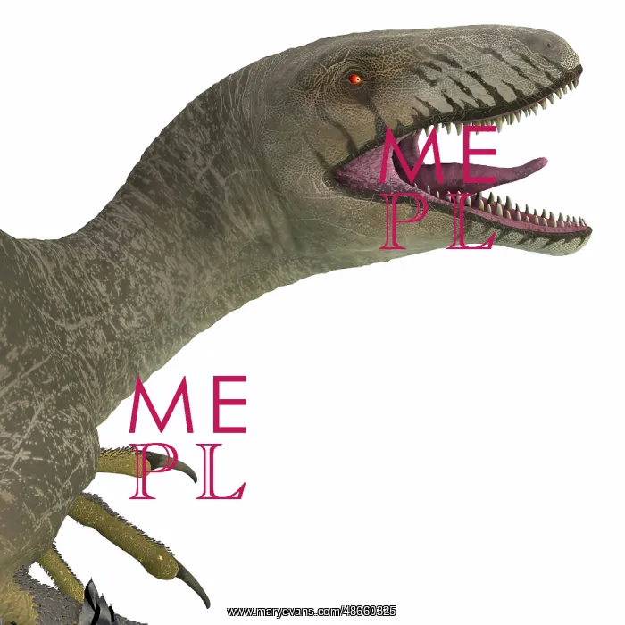 : Dakotaraptor dinosaur head : Dakotaraptor dinosaur head