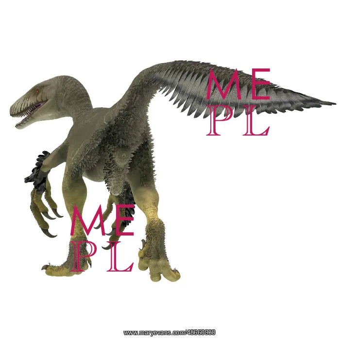 : Dakotaraptor dinosaur, rear view : Dakotaraptor dinosaur, rear view
