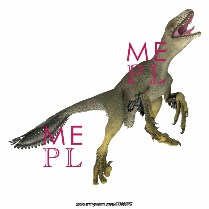 : Dakotaraptor dinosaur on white background : Dakotaraptor dinosaur on white background