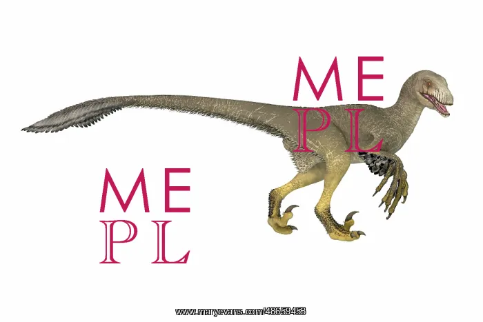 : Dakotaraptor feathered dinosaur, side view on : Dakotaraptor feathered dinosaur, side view on