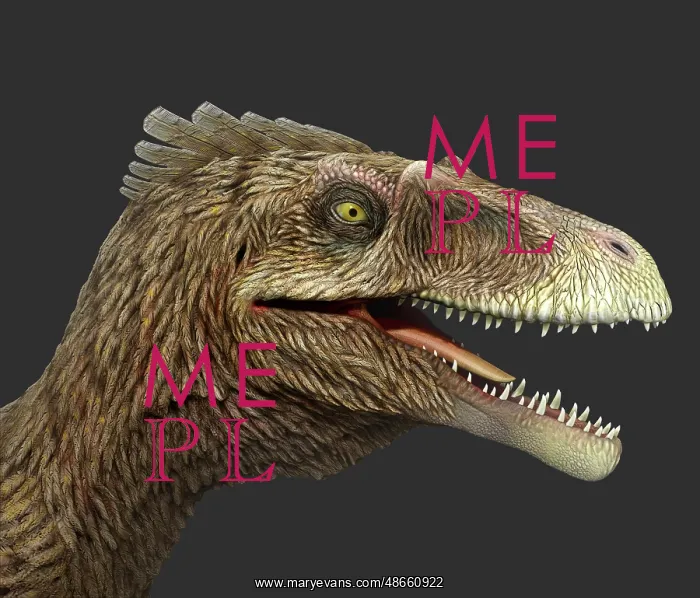 : Dakotaraptor portrait on gray background : Dakotaraptor portrait on gray background