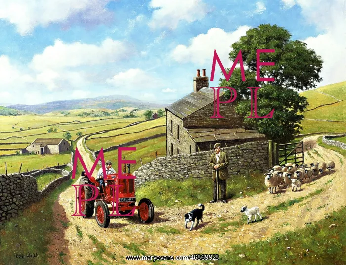 : The Dales, 1948 Nuffield Universal Tractor : The Dales, 1948 Nuffield Universal Tractor