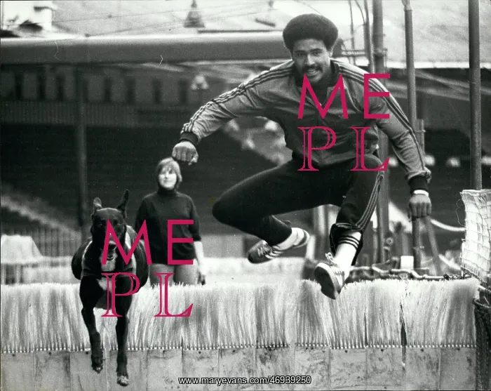 : Daley Thompson, Olympic decathlete, in training : Daley Thompson, Olympic decathlete, in training