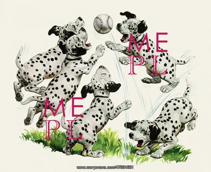  : Dalmatian Baseball