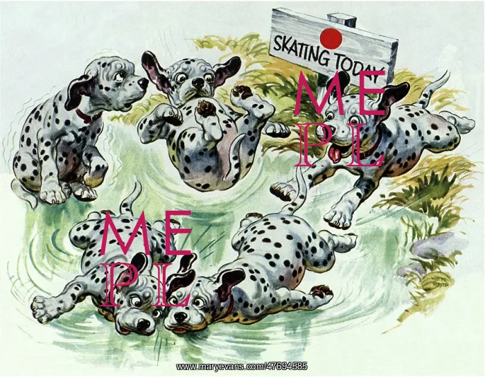  : Dalmatian Puppies