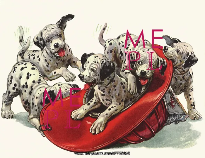 : Dalmatian Puppies in Fireman's Helmet : Dalmatian Puppies in Fireman's Helmet
