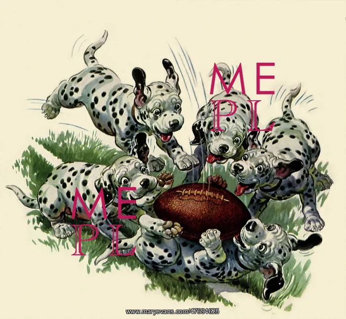: Dalmatians and Football : Dalmatians and Football