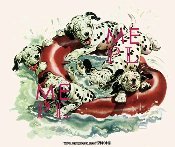  : Dalmatians Rafting