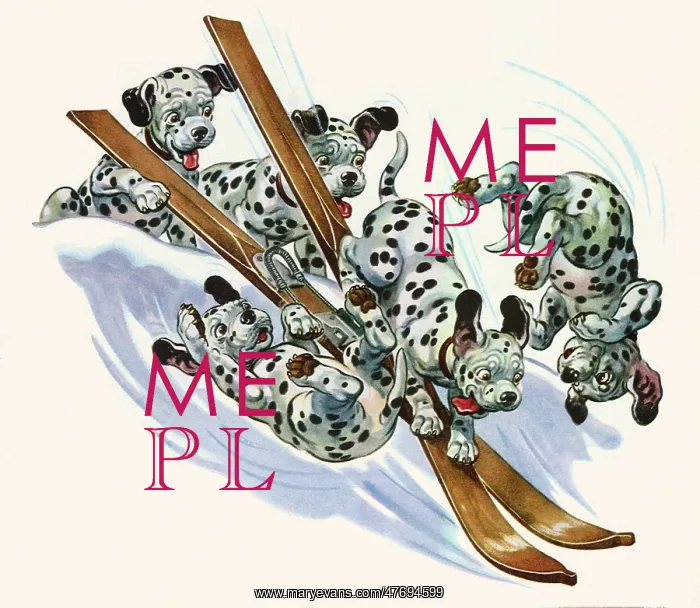 : Dalmatians on Skis : Dalmatians on Skis