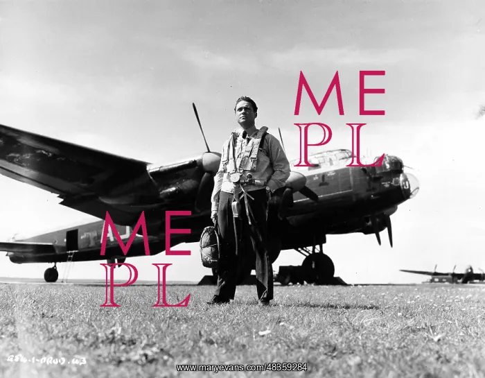: THE DAM BUSTERS : THE DAM BUSTERS