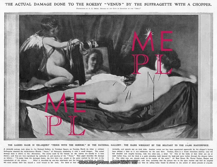 : Damage done to the Rokeby Venus by suffragette : Damage done to the Rokeby Venus by suffragette