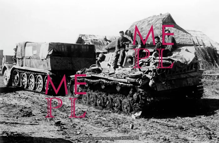  : Damaged tank on the Eastern front, 1942