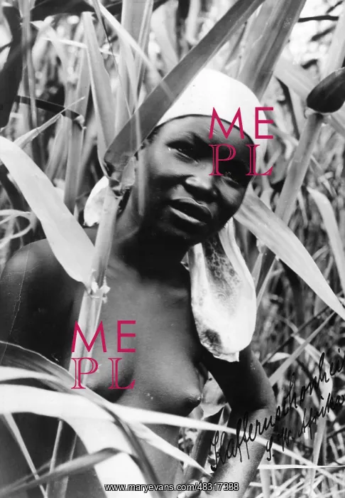 : Damara woman in the corn field : Damara woman in the corn field